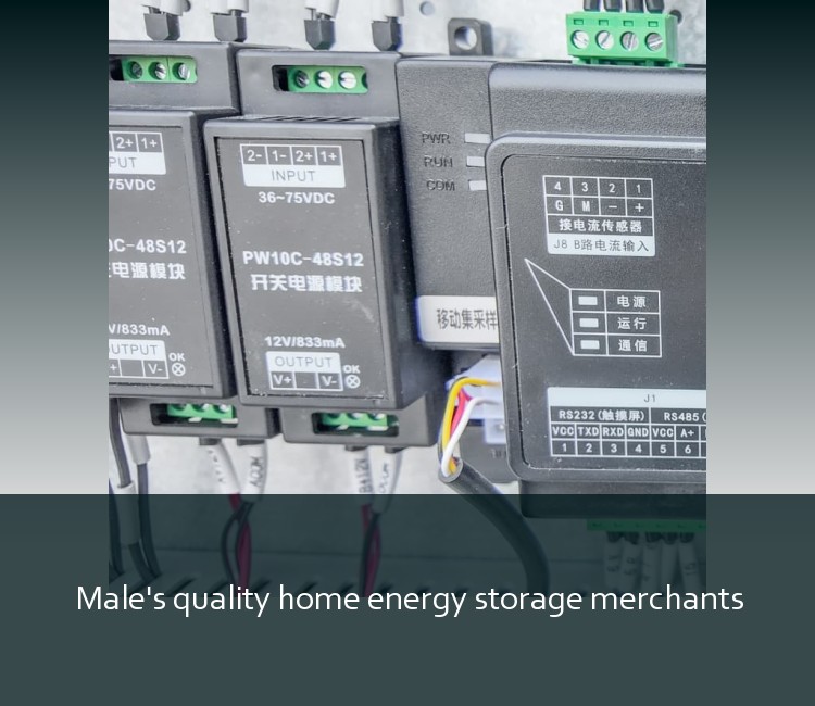 Male's quality home energy storage merchants