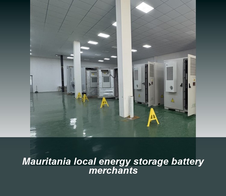 Mauritania local energy storage battery merchants