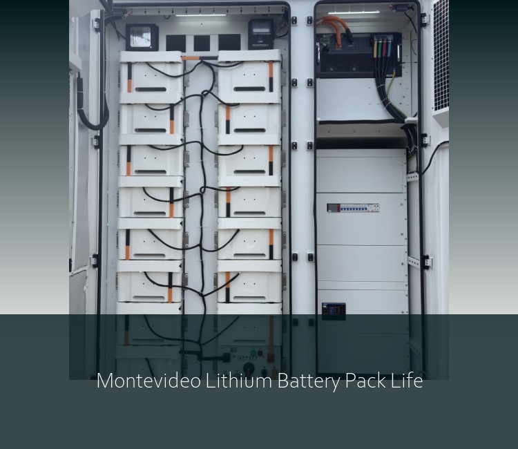 Montevideo Lithium Battery Pack Life