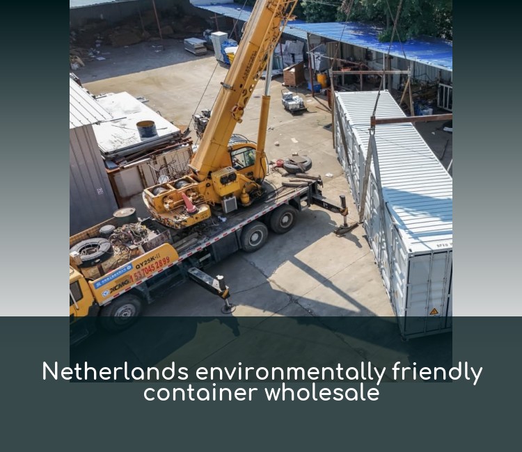 Netherlands environmentally friendly container wholesale