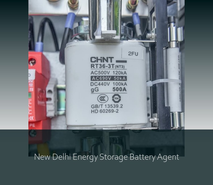 New Delhi Energy Storage Battery Agent