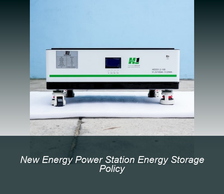 New Energy Power Station Energy Storage Policy