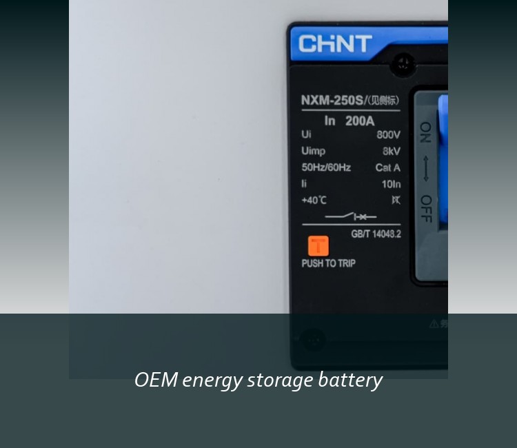 OEM energy storage battery
