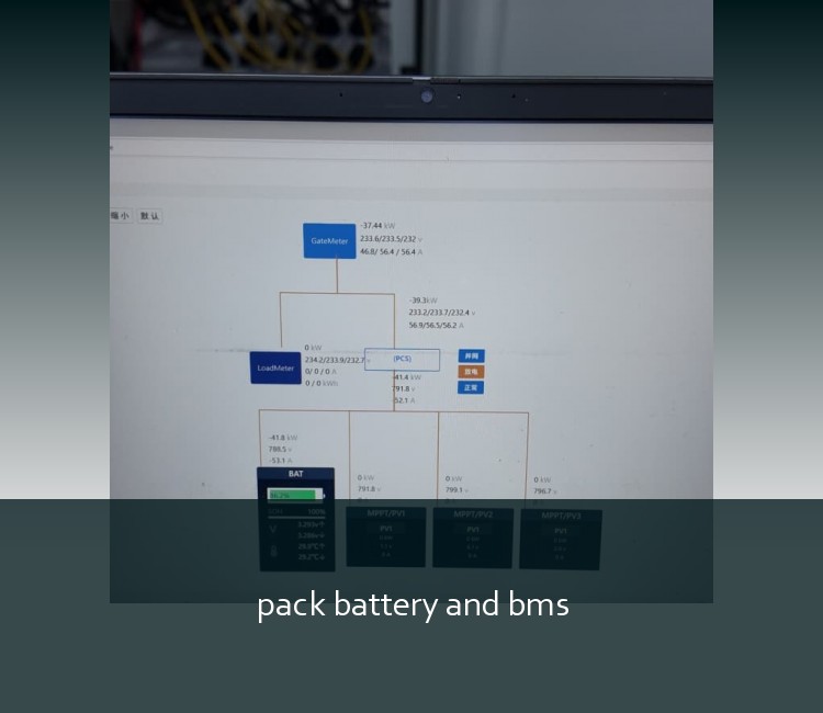 pack battery and bms