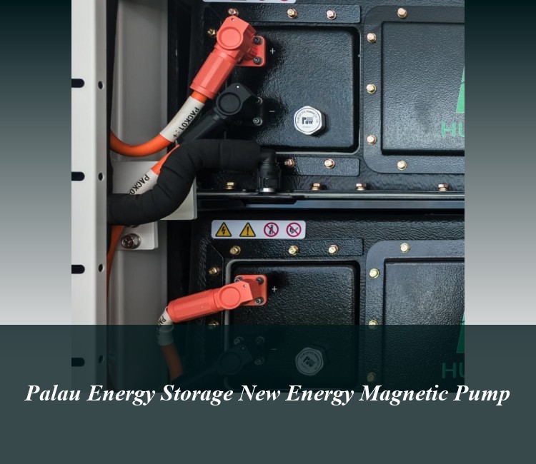 Palau Energy Storage New Energy Magnetic Pump