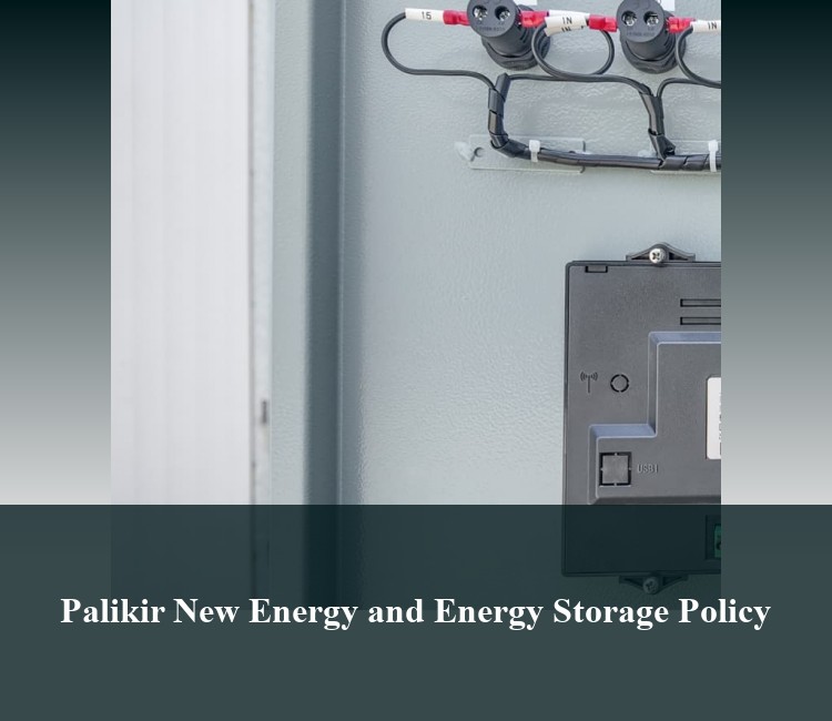 Palikir New Energy and Energy Storage Policy