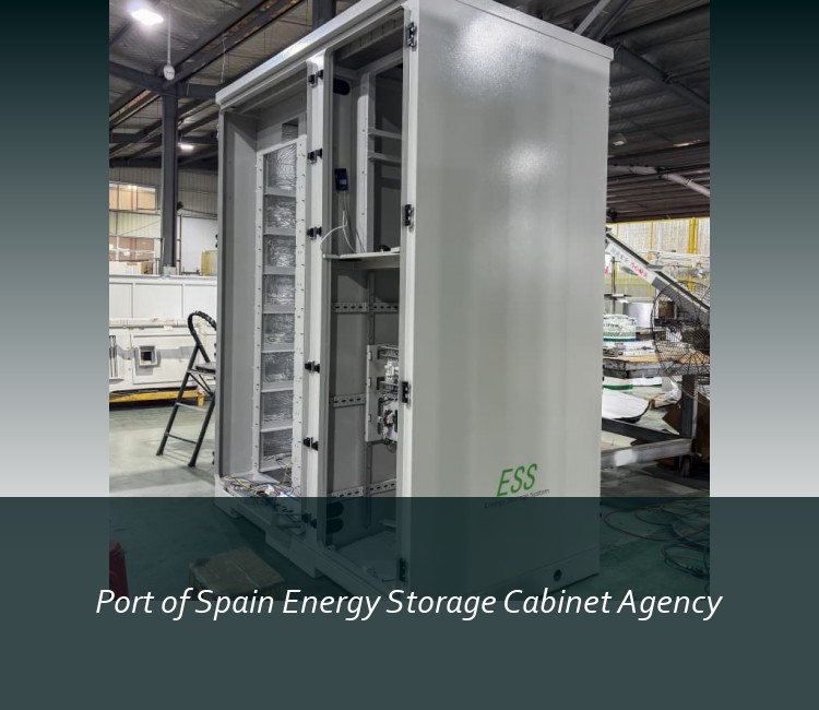 Port of Spain Energy Storage Cabinet Agency