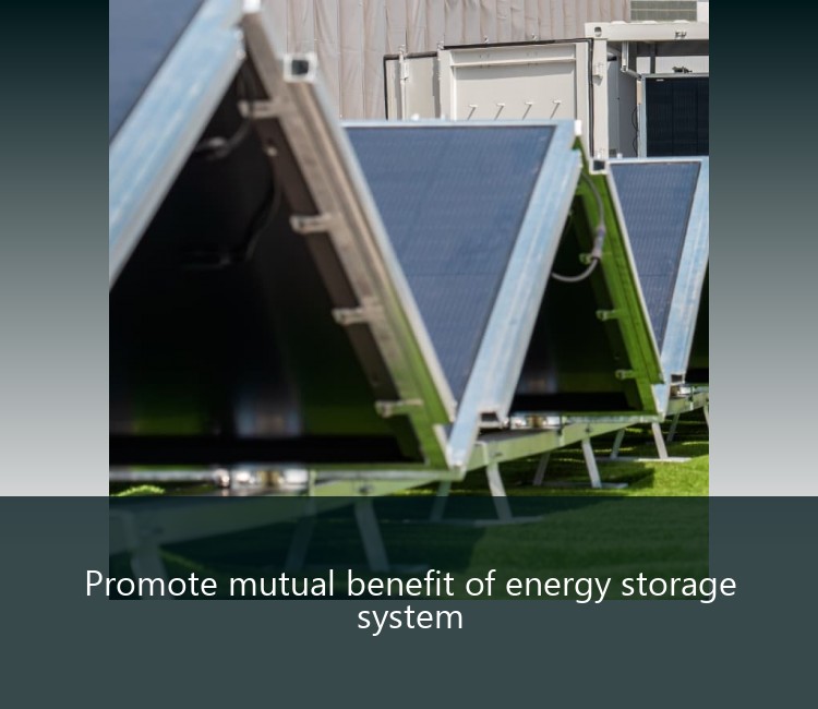 Promote mutual benefit of energy storage system