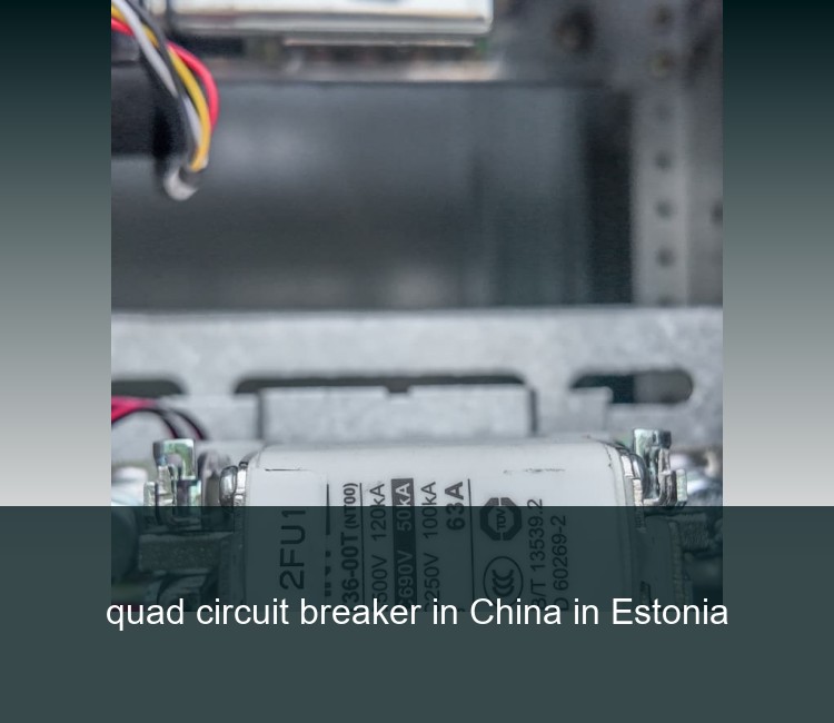 quad circuit breaker in China in Estonia