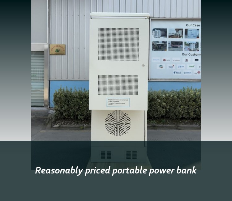 Reasonably priced portable power bank
