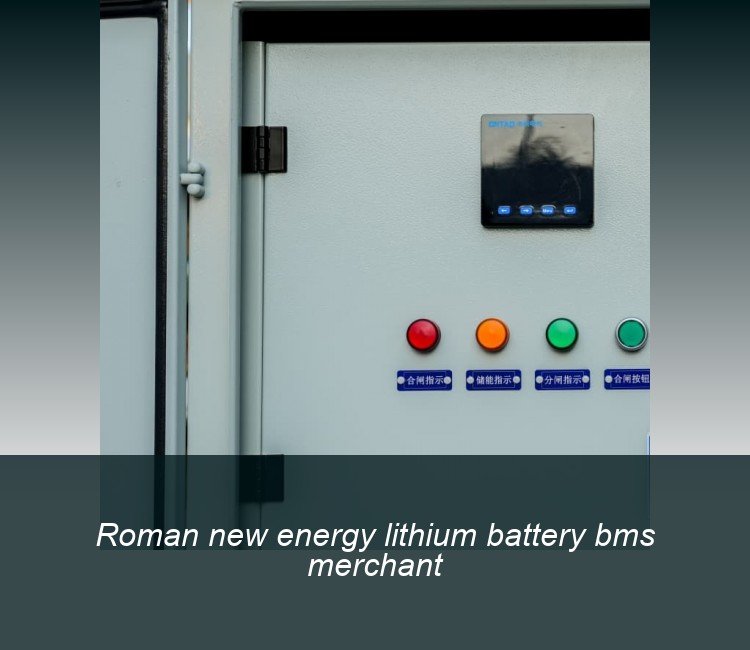 Roman new energy lithium battery bms merchant
