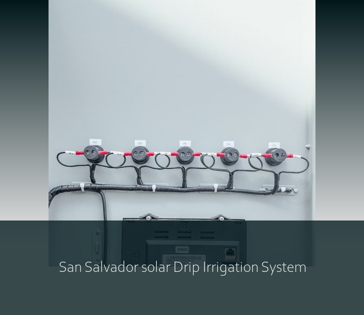 San Salvador solar Drip Irrigation System