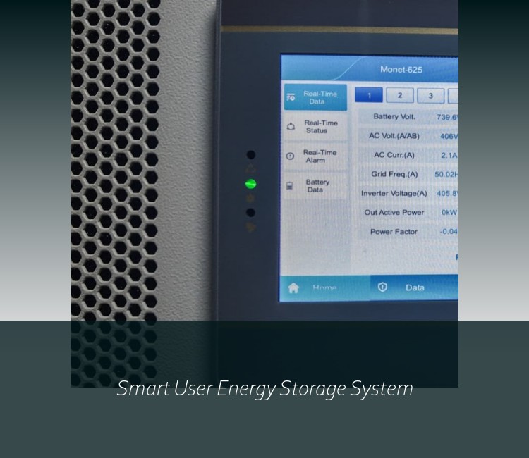 Smart User Energy Storage System