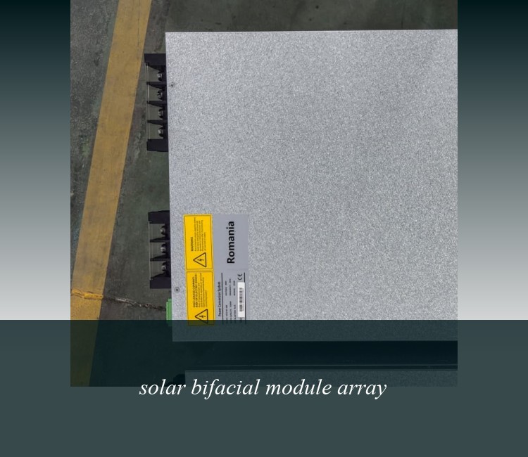 solar bifacial module array