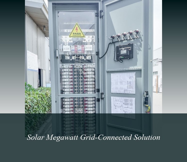 Solar Megawatt Grid-Connected Solution