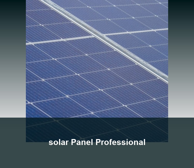 solar Panel Professional