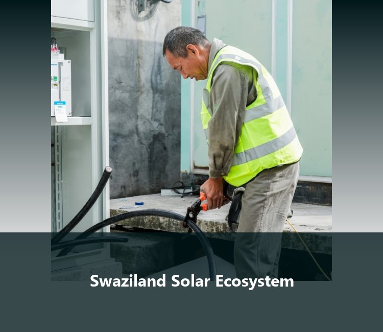 Swaziland Solar Ecosystem