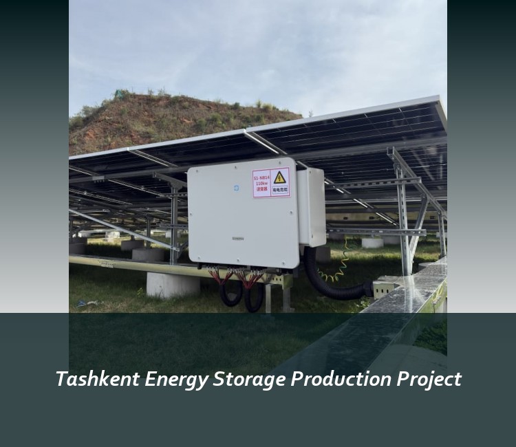 Tashkent Energy Storage Production Project