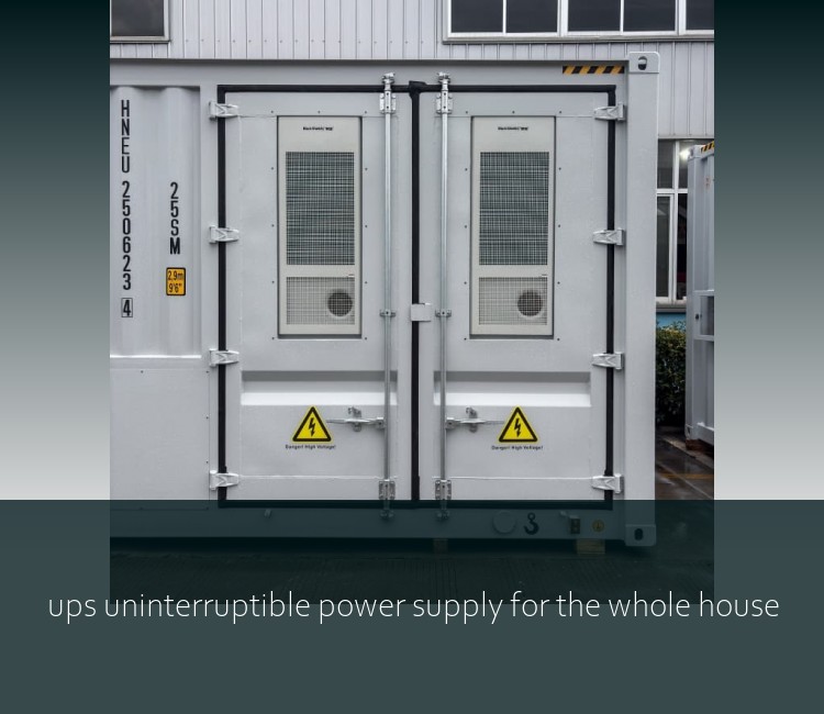 ups uninterruptible power supply for the whole house