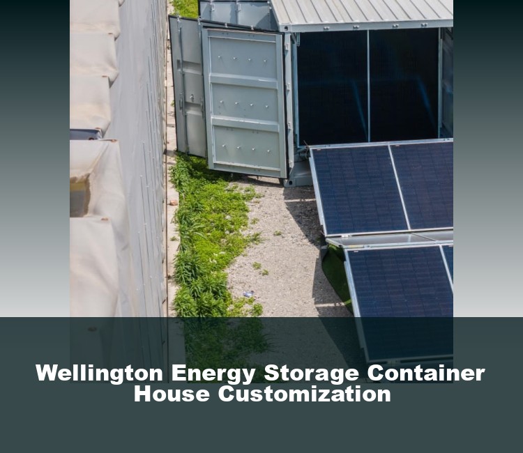 Wellington Energy Storage Container House Customization