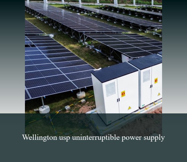 Wellington usp uninterruptible power supply