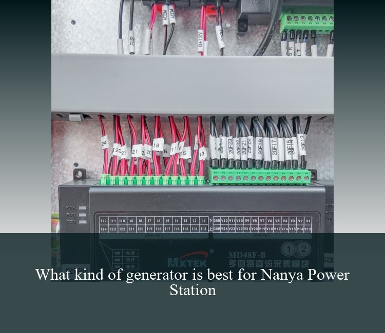 What kind of generator is best for Nanya Power Station