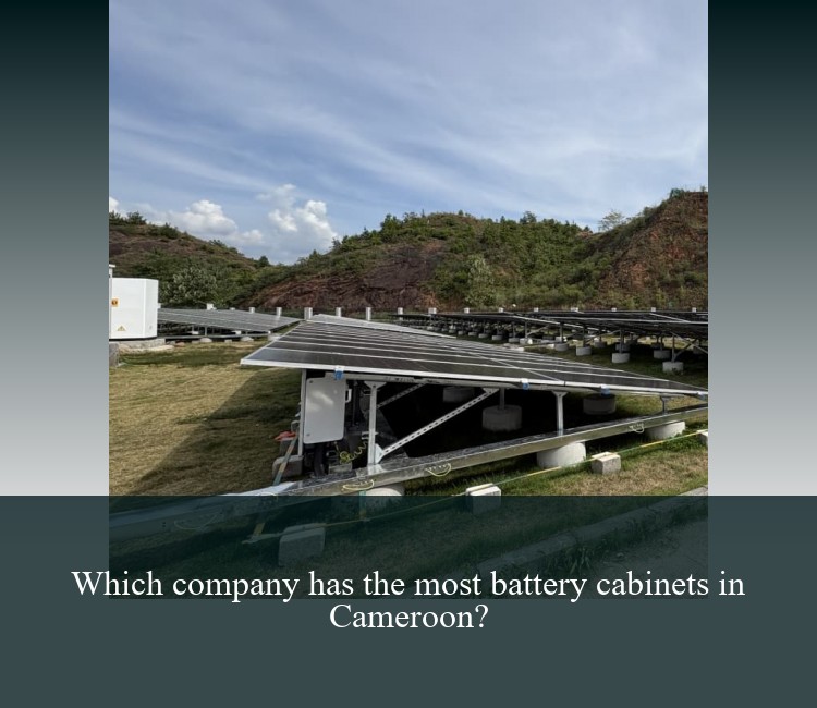 Which company has the most battery cabinets in Cameroon?
