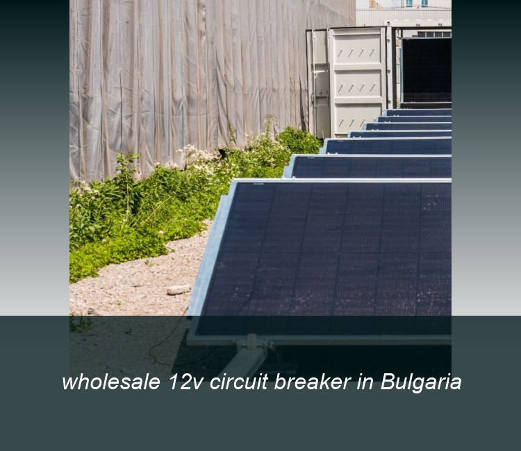 wholesale 12v circuit breaker in Bulgaria
