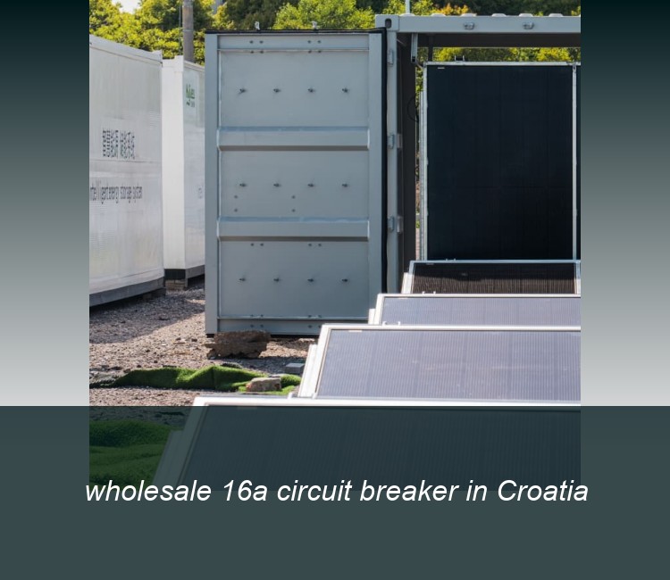 wholesale 16a circuit breaker in Croatia