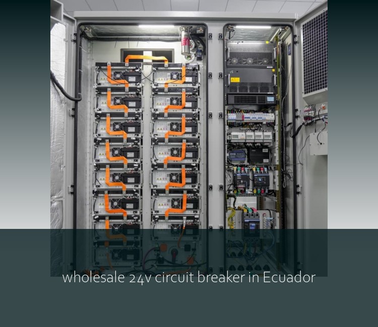 wholesale 24v circuit breaker in Ecuador