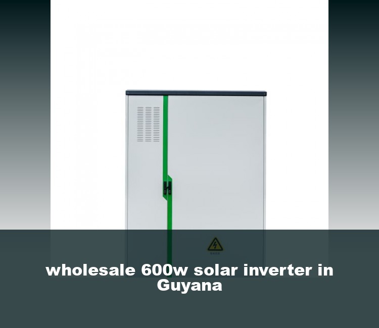 wholesale 600w solar inverter in Guyana