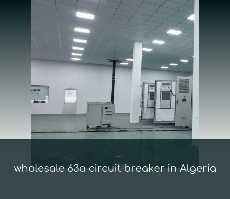 wholesale 63a circuit breaker in Algeria