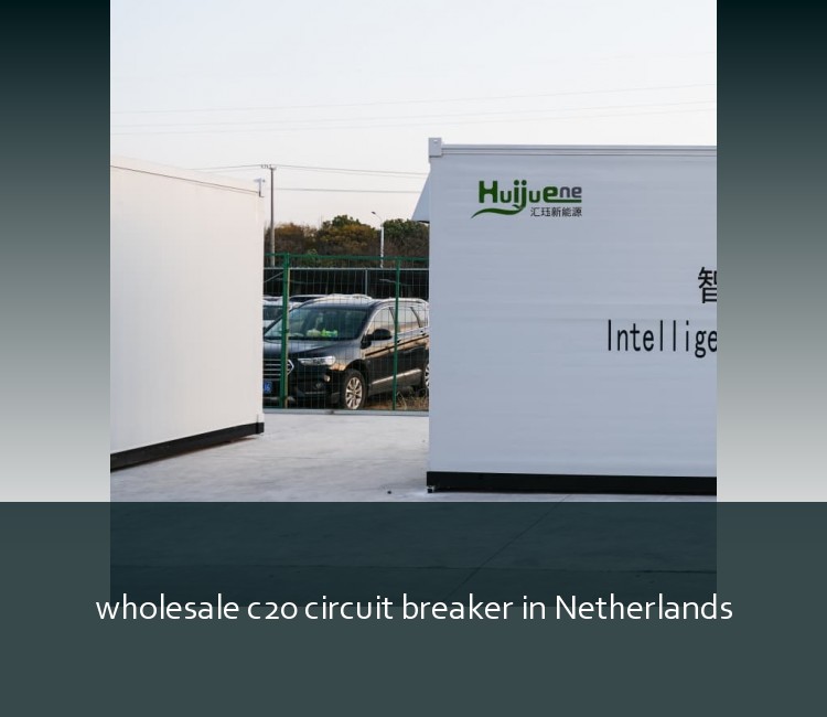 wholesale c20 circuit breaker in Netherlands