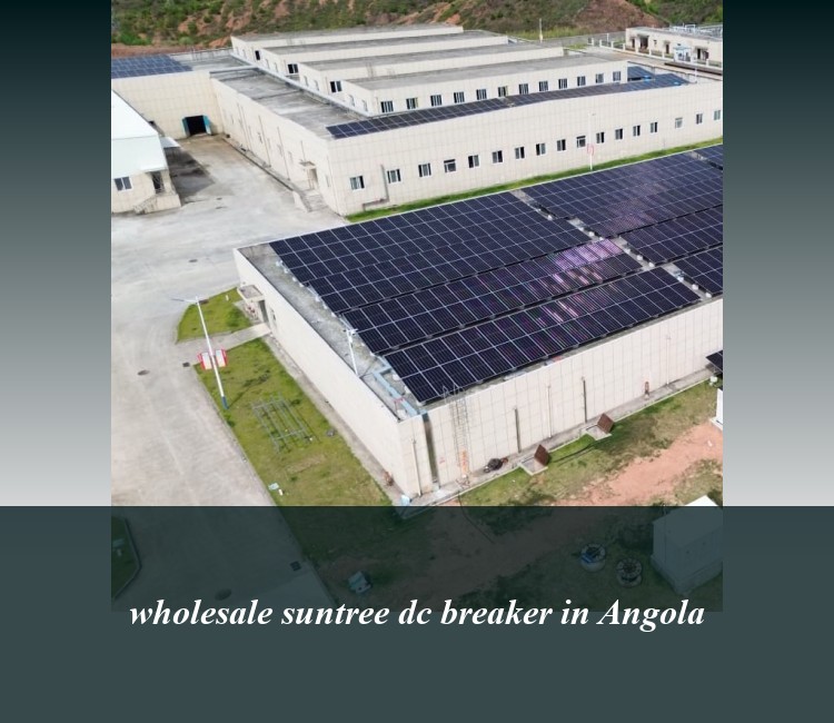 wholesale suntree dc breaker in Angola